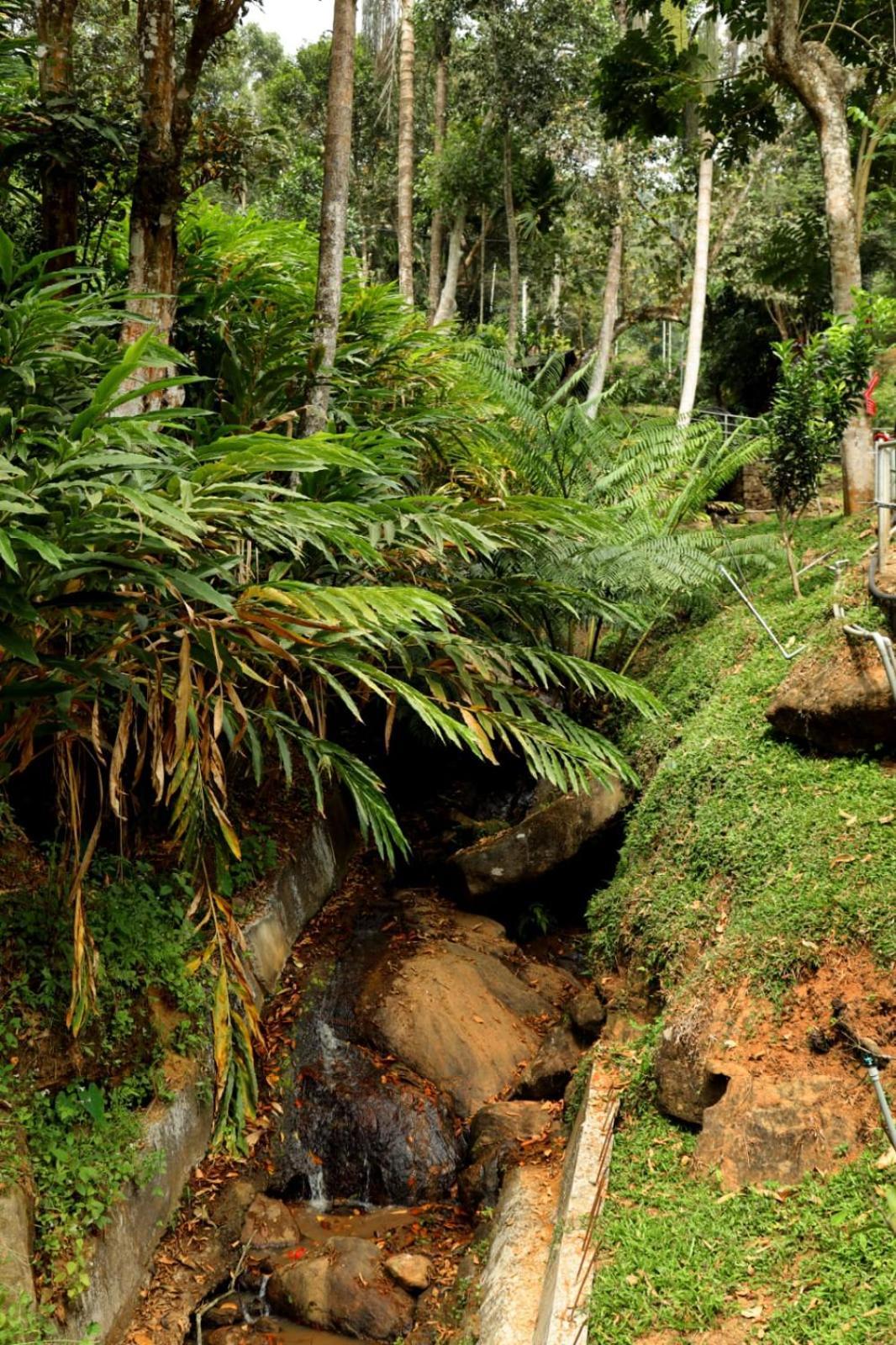 Garden Of Eden-Thottam Munnar-Hiking And Camping Anachal المظهر الخارجي الصورة