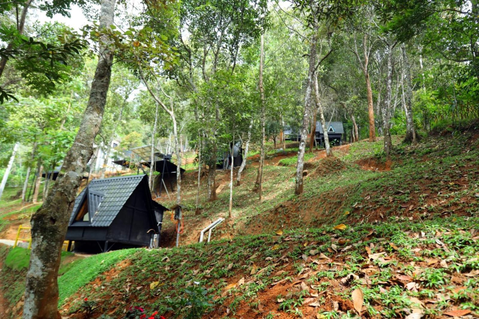 Garden Of Eden-Thottam Munnar-Hiking And Camping Anachal المظهر الخارجي الصورة