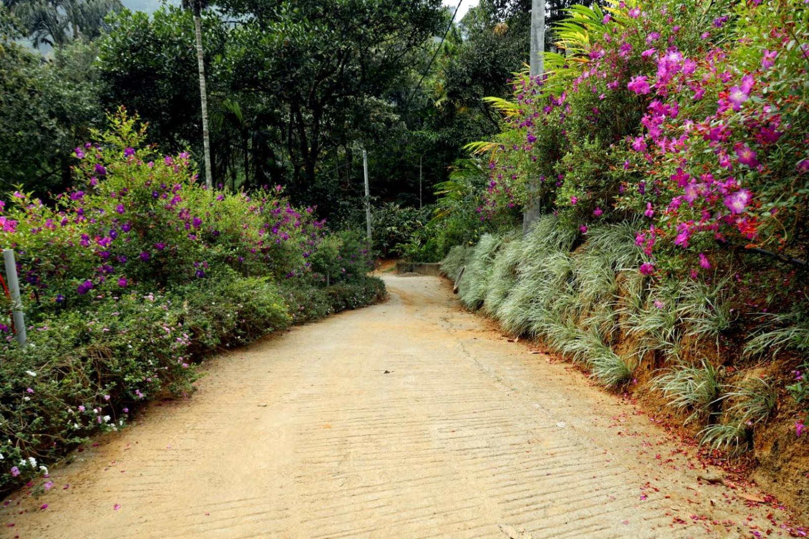 Garden Of Eden-Thottam Munnar-Hiking And Camping Anachal المظهر الخارجي الصورة