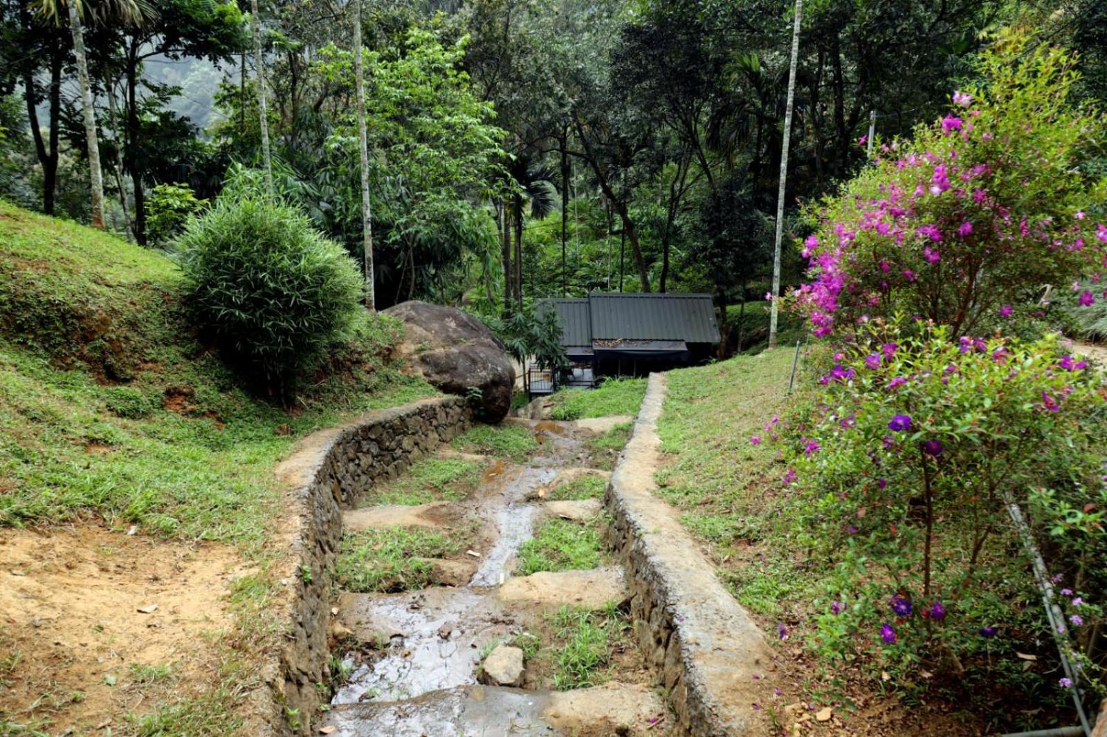 Garden Of Eden-Thottam Munnar-Hiking And Camping Anachal المظهر الخارجي الصورة