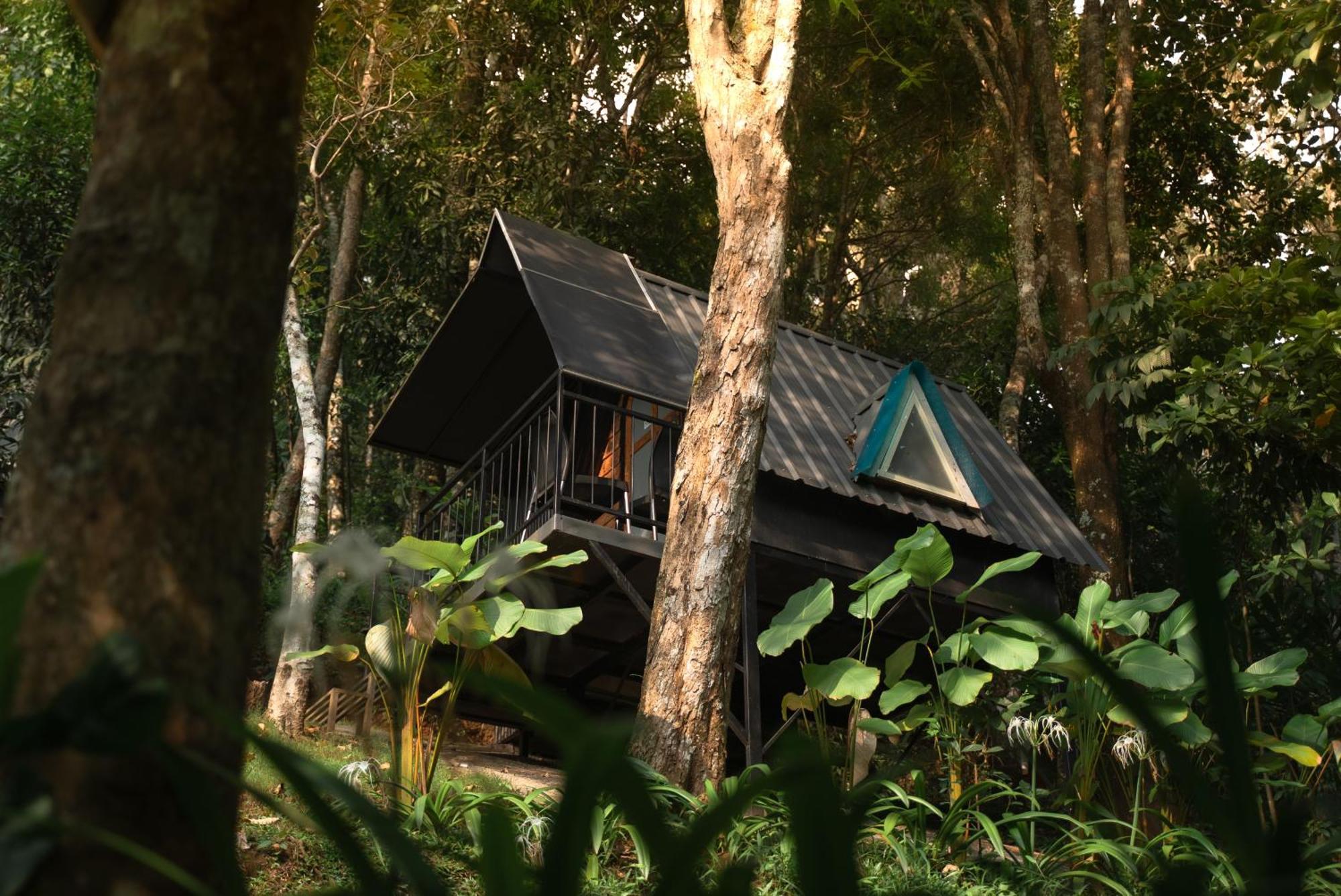 Garden Of Eden-Thottam Munnar-Hiking And Camping Anachal المظهر الخارجي الصورة