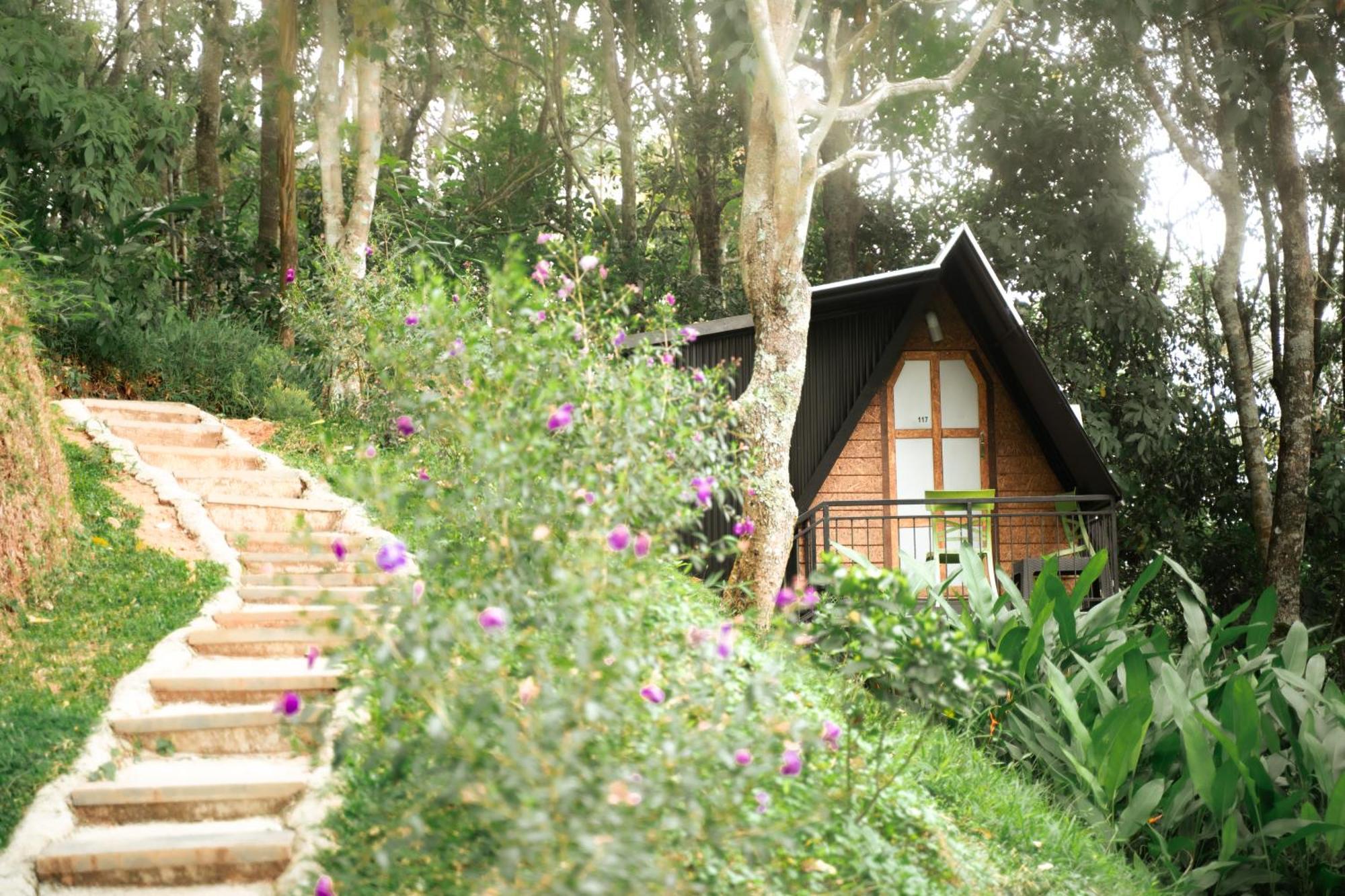 Garden Of Eden-Thottam Munnar-Hiking And Camping Anachal المظهر الخارجي الصورة