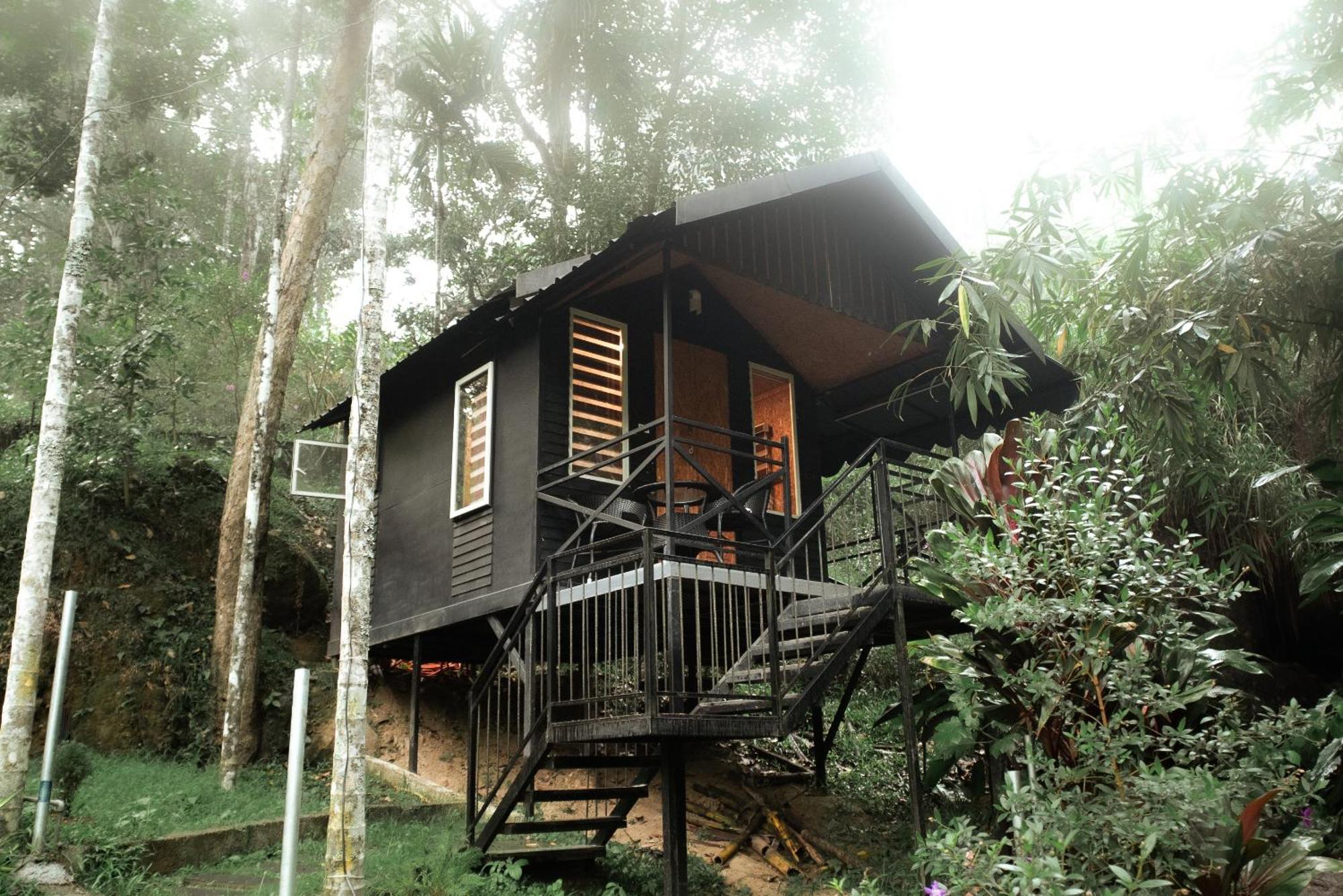 Garden Of Eden-Thottam Munnar-Hiking And Camping Anachal المظهر الخارجي الصورة