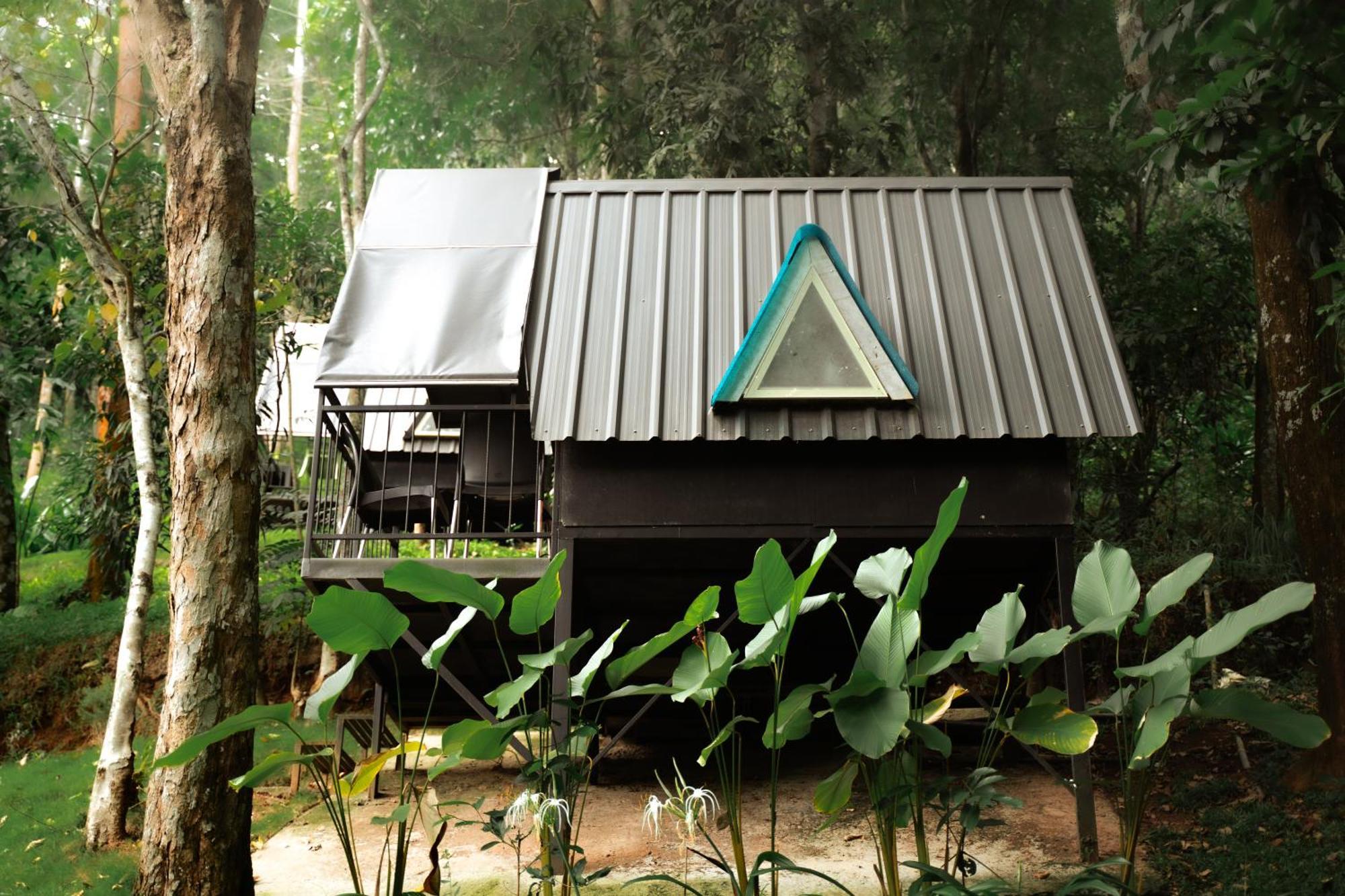 Garden Of Eden-Thottam Munnar-Hiking And Camping Anachal المظهر الخارجي الصورة